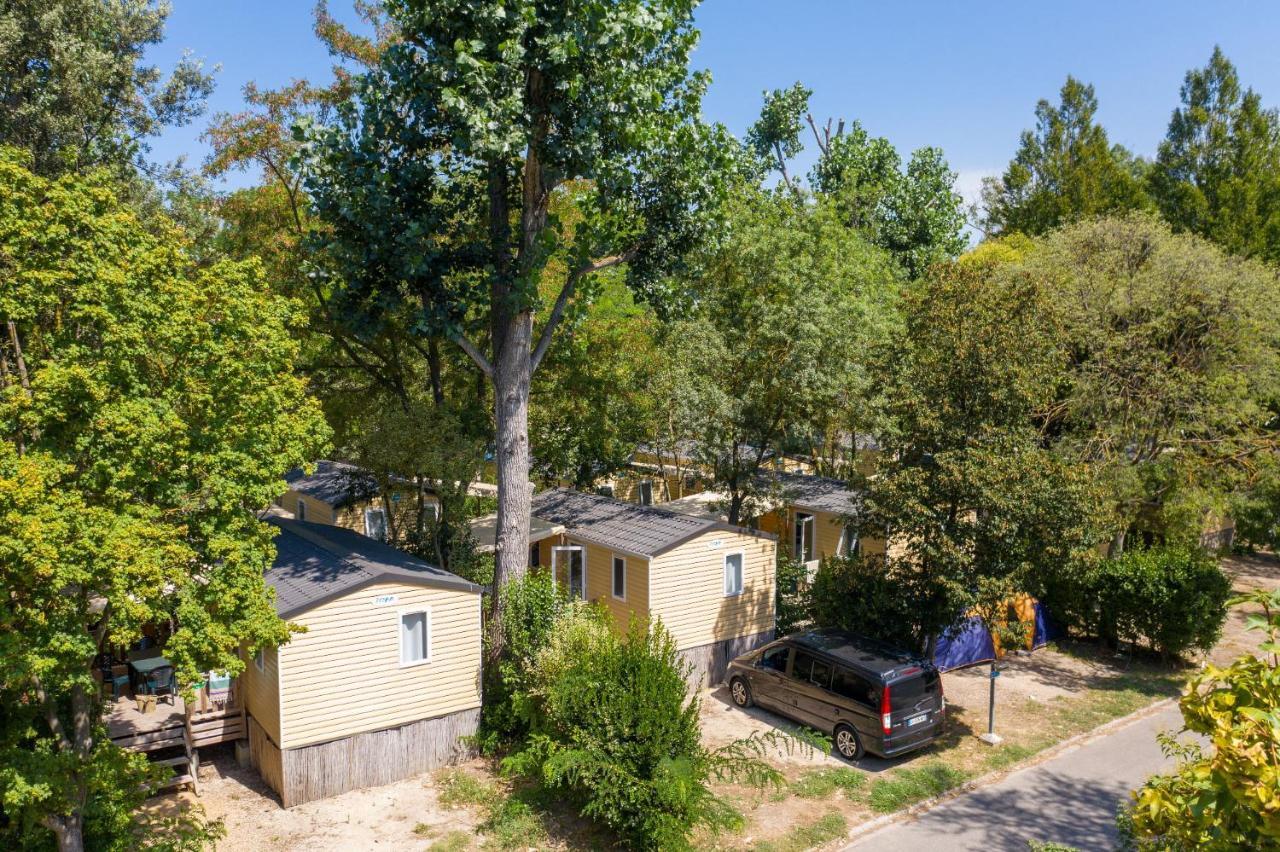 Campsite Du Pont D'avignon